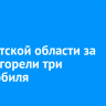 В Иркутской области за сутки сгорели три автомобиля