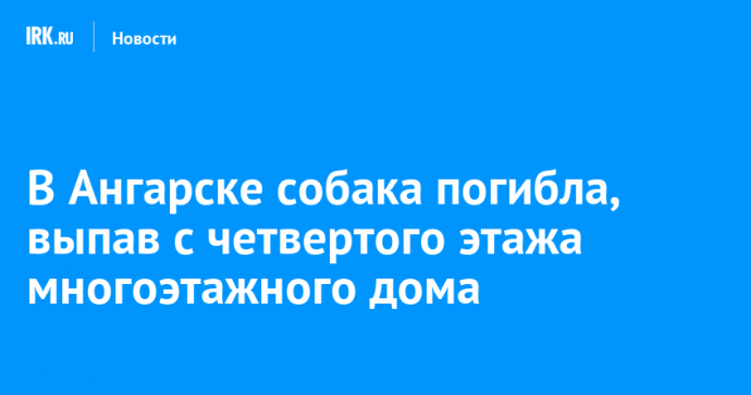 В Ангарске собака погибла, выпав с четвертого этажа многоэтажного дома