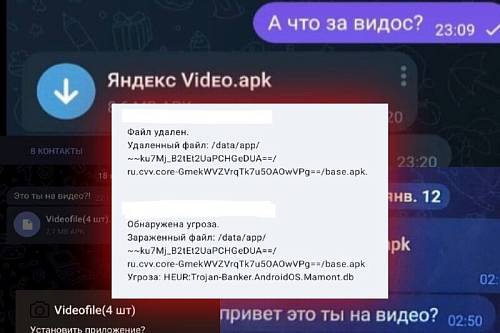 Полиция предупредила о распространении вируса Mamont в Telegram