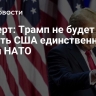 Эксперт: Трамп не будет считать США единственной силой НАТО