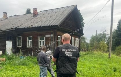 Костромич воткнул нож в живот любовника матери