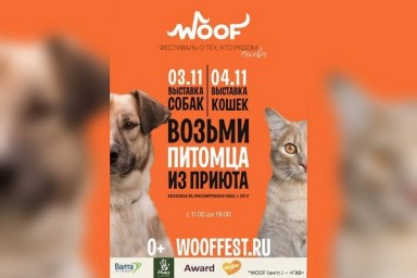 3 и 4 ноября в Москве пройдёт фестиваль WOOF в поддержку животных из приютов