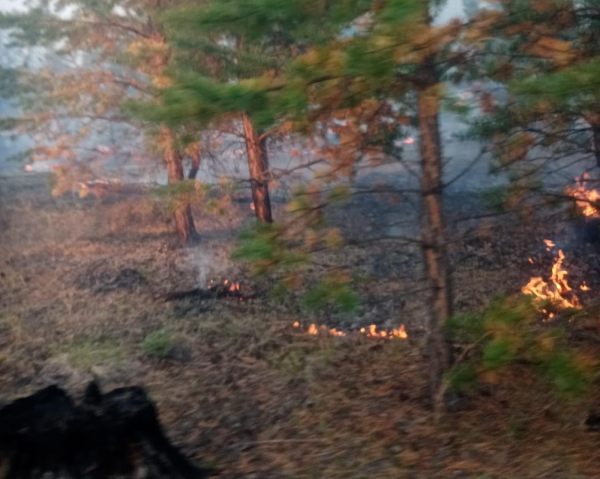 В Бурятии локализовали крупный лесной пожар вблизи посёлка