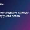 В России создадут единую систему учета лесов