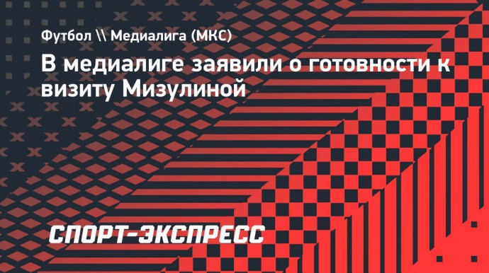 Президент медиалиги: «Готовы встретить Мизулину с почетом и уважением! Предоставим лучшие места на бровке»