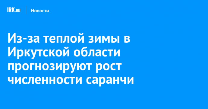 Из-за теплой зимы в Иркутской области прогнозируют рост численности саранчи