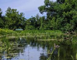 На реке около райцентра могут восстановить советскую плотину