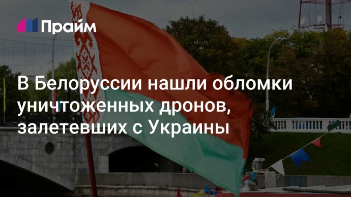 В Белоруссии нашли обломки уничтоженных дронов, залетевших с Украины