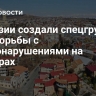 В Грузии создали спецгруппы для борьбы с правонарушениями на выборах