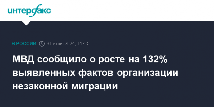 МВД сообщило о росте на 132% выявленных фактов организации незаконной миграции