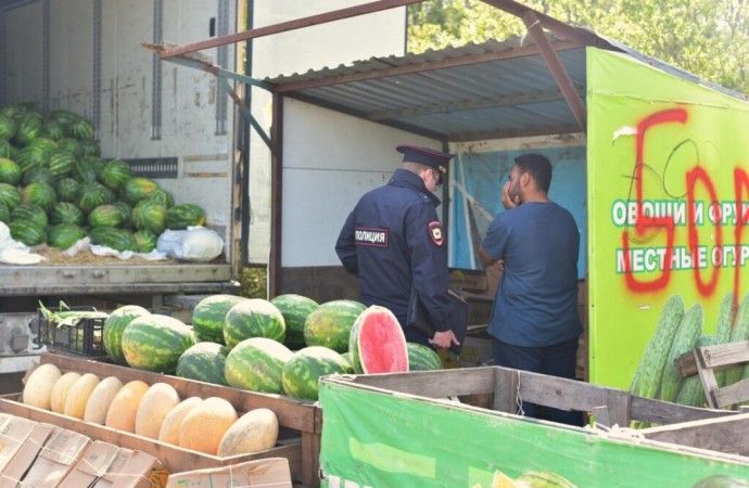 Мэрия Великого Новгорода продолжает борьбу с борщевиком и нелегальной торговлей