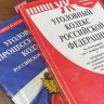 Верховный Суд Мордовии оставил без изменения приговор местному жителю, ударившему полицейского