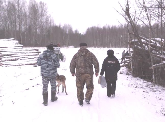 Более 30 уголовных дел возбуждено в Ярославской области по фактам браконьерства в этом году