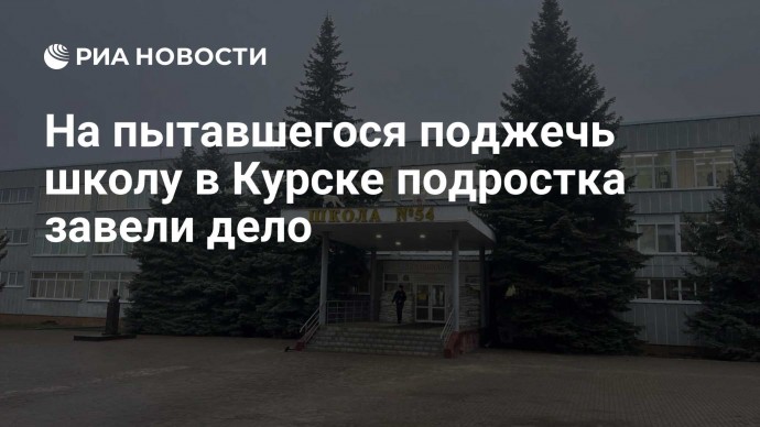 На пытавшегося поджечь школу в Курске подростка завели дело