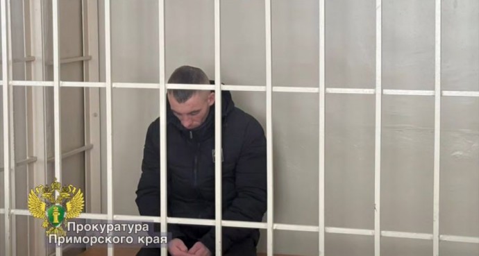 Насильника, истязавшего девушку во Владивостоке, взяли под стражу