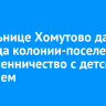 Жительнице Хомутово дали два года колонии-поселения за мошенничество с детским пособием