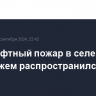 Ландшафтный пожар в селе под Воронежем распространился на 20 га