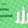 Партию «живых шахмат» сыграют на Дворцовой площади 20 июля