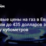 Биржевые цены на газ в Европе выросли до 435 долларов за тысячу кубометров