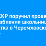 Глава СКР поручил проверку из-за избиения школьницей подростка в Черемховском районе