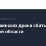 Два украинских дрона сбиты в Брянской области