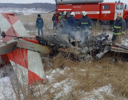 В Нижегородской области разбился самолет