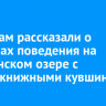 Туристам рассказали о правилах поведения на Слюдянском озере с краснокнижными кувшинками