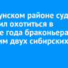 В Куйтунском районе суд запретил охотиться в течение года браконьерам, убившим двух сибирских косуль