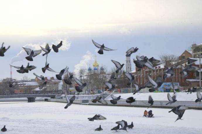 Погода будет непростой в Астраханской области