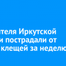 263 жителя Иркутской области пострадали от укусов клещей за неделю