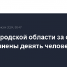 В Белгородской области за сутки были ранены девять человек