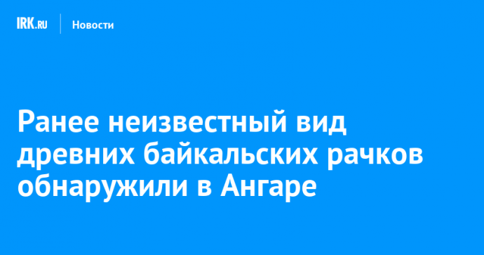 Ранее неизвестный вид древних байкальских рачков обнаружили в Ангаре