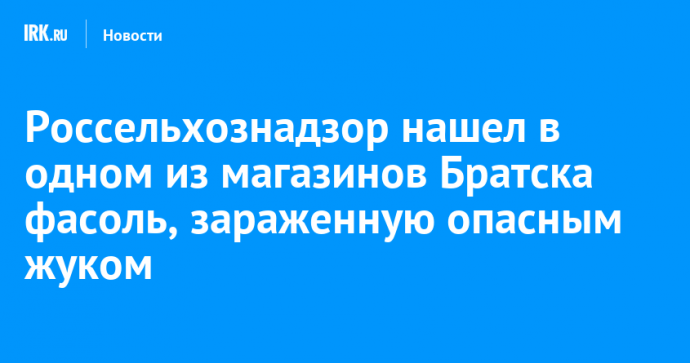 Россельхознадзор нашел в одном из магазинов Братска фасоль, зараженную опасным жуком