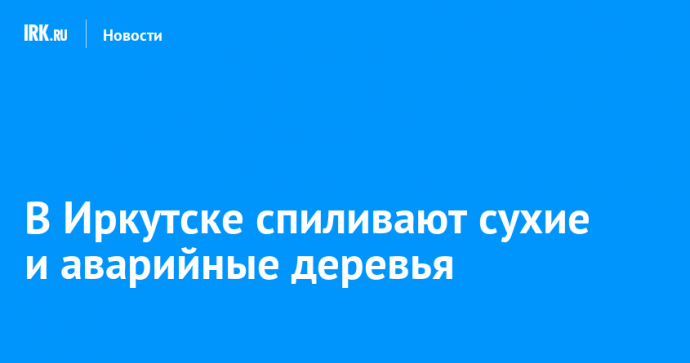 В Иркутске спиливают сухие и аварийные деревья