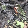 ВСУ продолжают получать бракованные боеприпасы — экс-советник Минобороны
