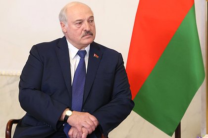 Лукашенко призвал к сотрудничеству с Африкой фразой «нельзя класть яйца в одну корзину»