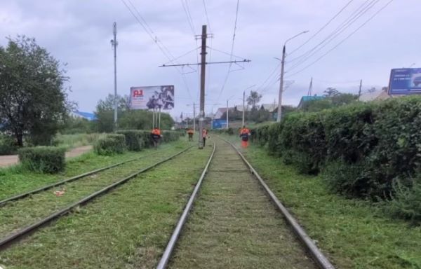 В Улан-Удэ сотрудники «Управления трамвая» ведут борьбу с травой