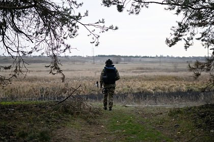 В Минобороны раскрыли потери ВСУ за время боев в Курской области