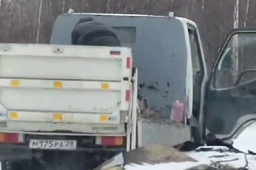 Амурчанин пойман с поличным при выгрузке бытовых отходов у леса