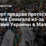 Эксперт предрек протесты жителей Сенегала из-за действий Украины в Мали