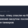 Более 2 тыс. птиц спасли на Кубани от загрязнения мазутом после крушения танкеров