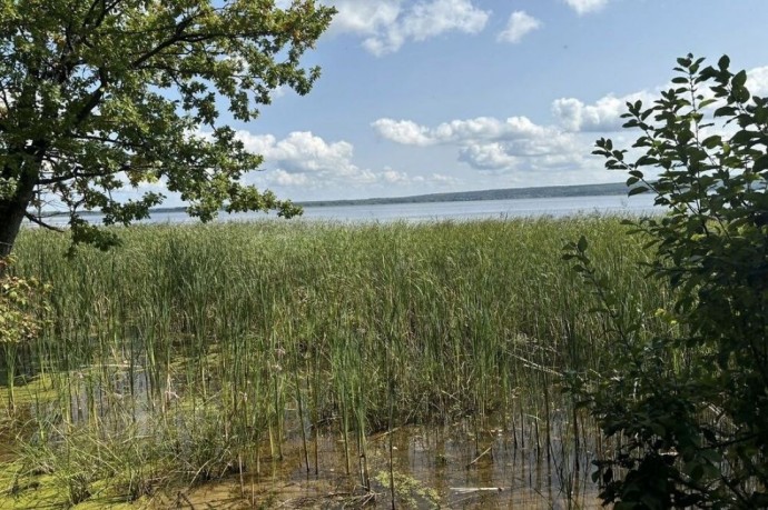 Пензенский рыбак нашел утопленника вместо улова в Сурском водохранилище