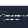 В центре Тбилиси акция протеста пока проходит мирно