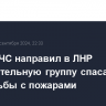 Глава МЧС направил в ЛНР дополнительную группу спасателей для борьбы с пожарами