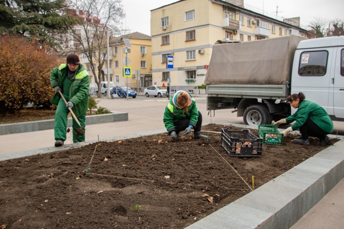 6 тысяч луковиц нарциссов и тюльпанов высадили на симферопольских клумбах