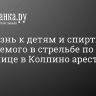 Неприязнь к детям и спиртное. Обвиняемого в стрельбе по школьнице в Колпино арестовали