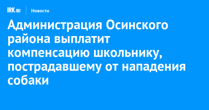 Администрация Осинского района выплатит компенсацию школьнику, пострадавшему от нападения собаки