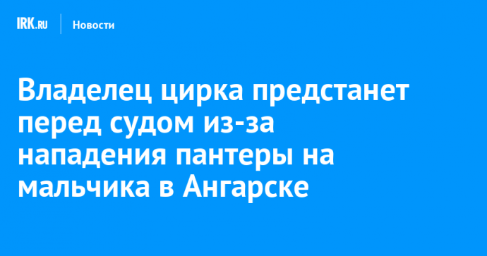 Владелец цирка предстанет перед судом из-за нападения пантеры на мальчика в Ангарске