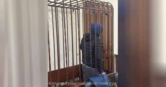 В Калининграде взяли под стражу начальника отдела по организационной и контрольной работе минздрава