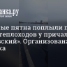 Масляные пятна поплыли по Неве из-под теплоходов у причала «Обуховский». Организована проверка